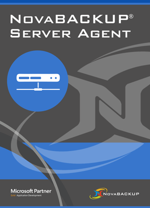 NovaBACKUP Server Agent 500GB ml ESD Sub Vv+1YM