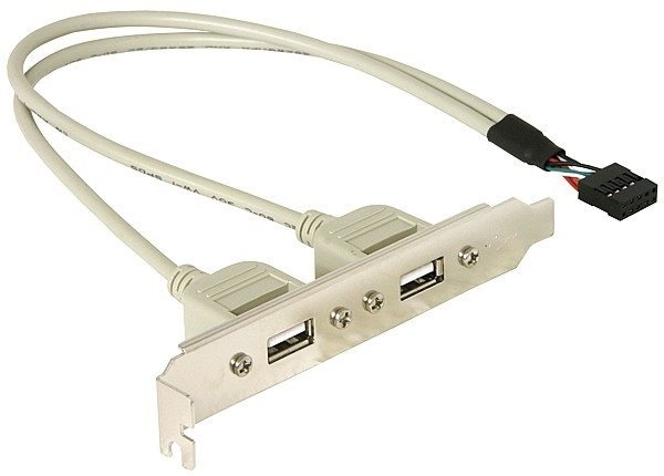 Delock Slotblech 2x USB2.0 extern
