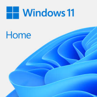 Microsoft Windows 11 Home 64bit dt